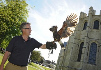 bird of prey